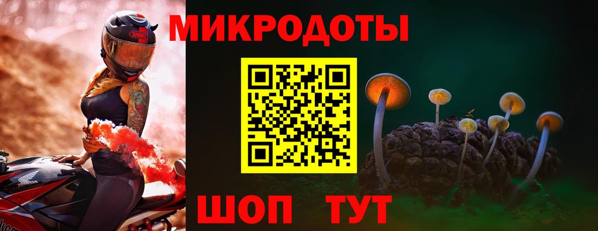Псилоцибиновые грибы Psilocybine cubensis Каспийск